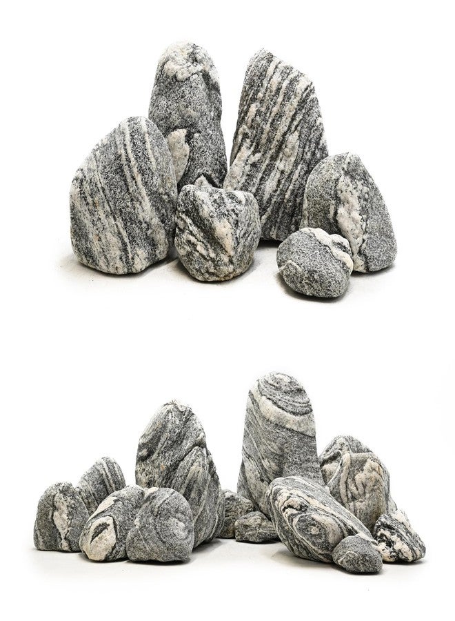 صخور أحواض السمك من كينجروي، صخور سيريو الفضية، 5 أرطال، حجر طبيعي لأحواض الأسماك، وأحواض الزواحف، وأشجار البونساي، وتزيين الحدائق، والمناظر الطبيعية المصغرة، وأحواض الزواحف (2-5 بوصة، 4-5 قطع) - Image 3